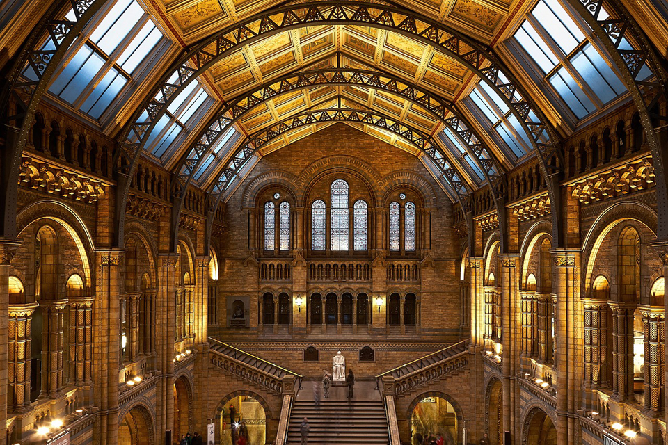 The spectacular entrance hall of the Natural History Museum